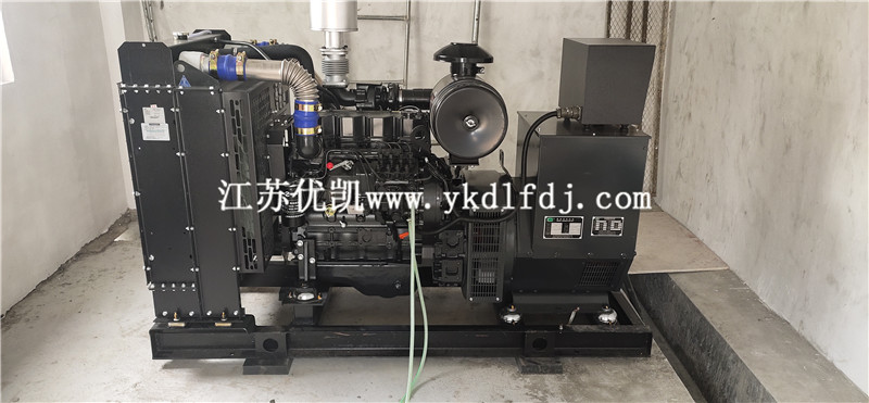 2021年1月26日，100KW上柴發(fā)電機組交付廣西防城港某養(yǎng)豬場使用