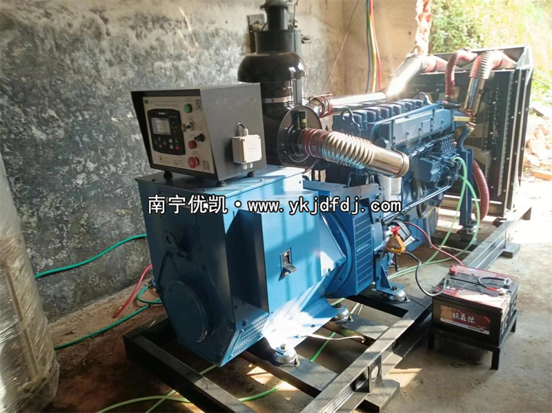 2024年3月5日，200kw濰坊雷納發(fā)電機組某學校到貨安裝